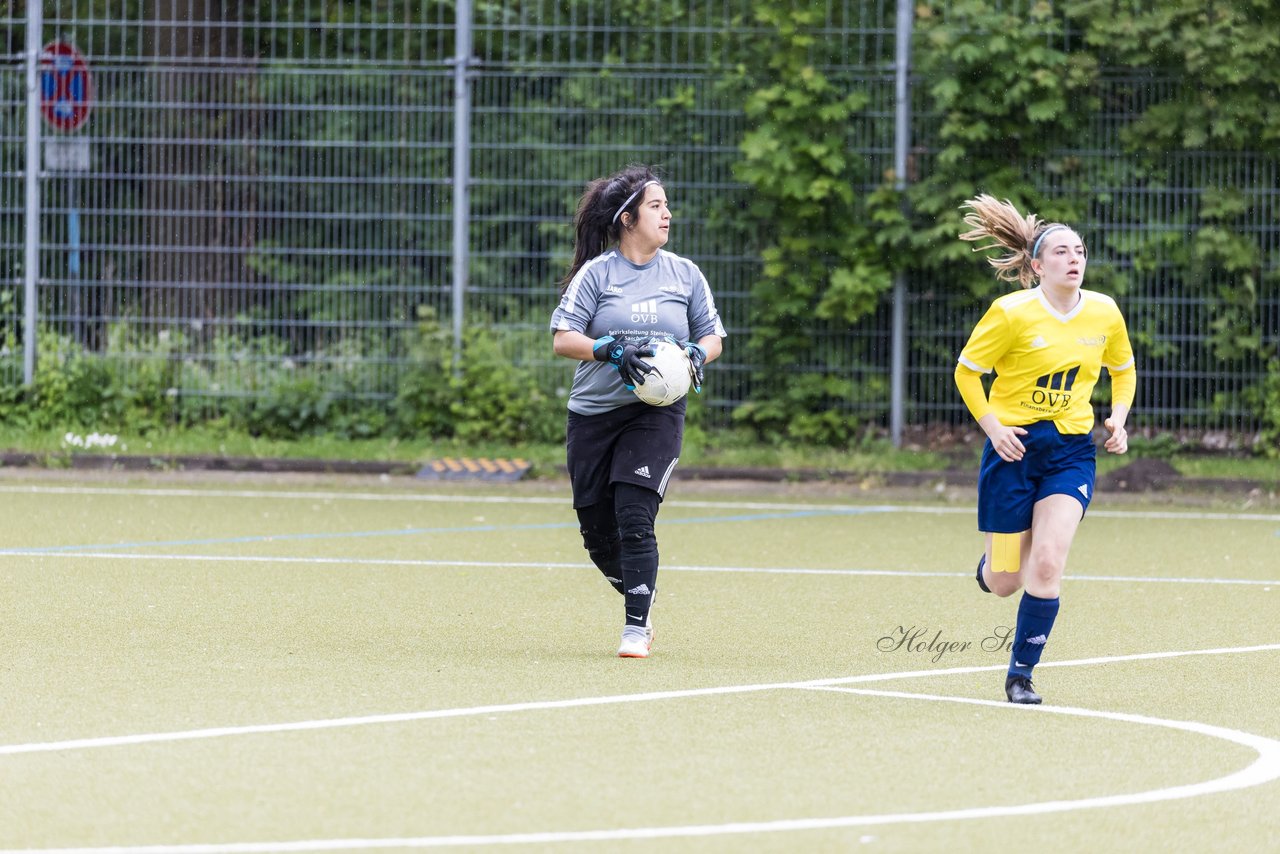 Bild 254 - F SV Eidelstedt - SC Alstertal-Langenhorn : Ergebnis: 2:7